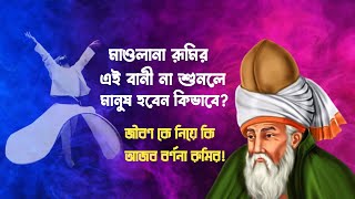 জীবনকে বদলে দিতে মাওলানা জালাল উদ্দিন মুহম্মদ রুমি (রহ:) এর এই বানী গুলোই যথেষ্ট Mawlana Rumi