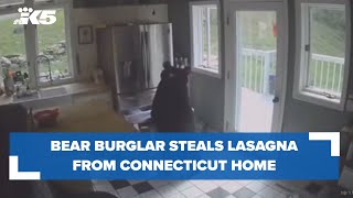 Black bear breaks into home, steals lasagna