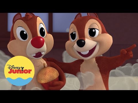 Um Lugar pra Nadar | Caça às Nozes com Tico e Teco I Mickey — Aventuras Sobre Rodas