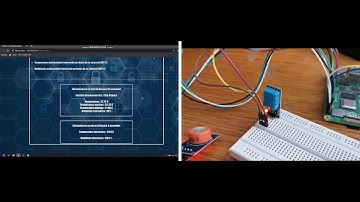 Raspberry PI Environmental Monitor and Breathalyzer