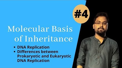 DNA Replication (class 12) | Differences between prokaryotic and eukaryotic DNA Replication