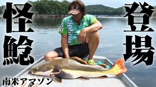 A fierce battle with a catfish! Heavyweight jungle battle in the