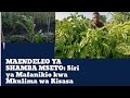 Maendeleo Ya Shamba Mseto Siri Ya Mafanikio Kwa Mkima Wa Kisasa