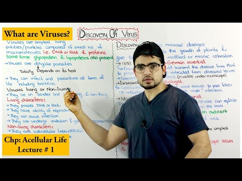 Discovery of Virus | Introduction to viruses |