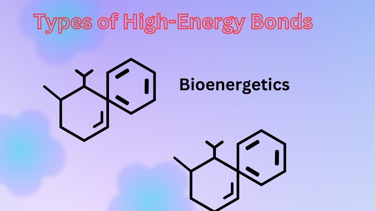 Bioenergetics Definition Types And Examples Youtube vrogue.co