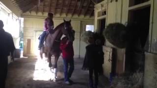 Michael Emily At Belmont