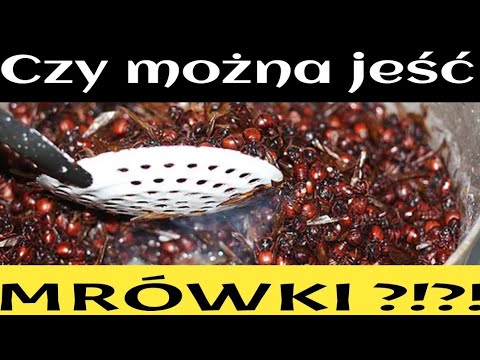 Wideo: Czy możesz jeść mrówki?