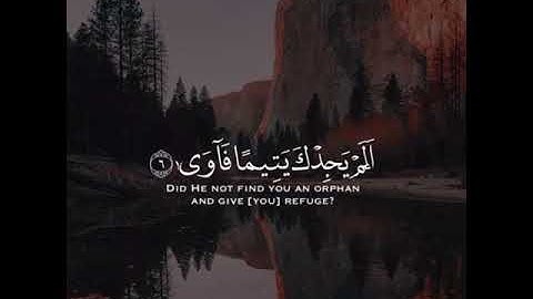 قرآن كريم بصوت القارئ مشاري البغلي l سورة الضحى l حالات واتس اب قرآن