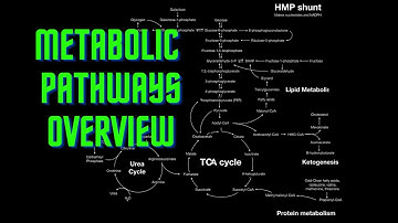USMLE Step 1 - Lesson 54 - Metabolic Pathways Overview