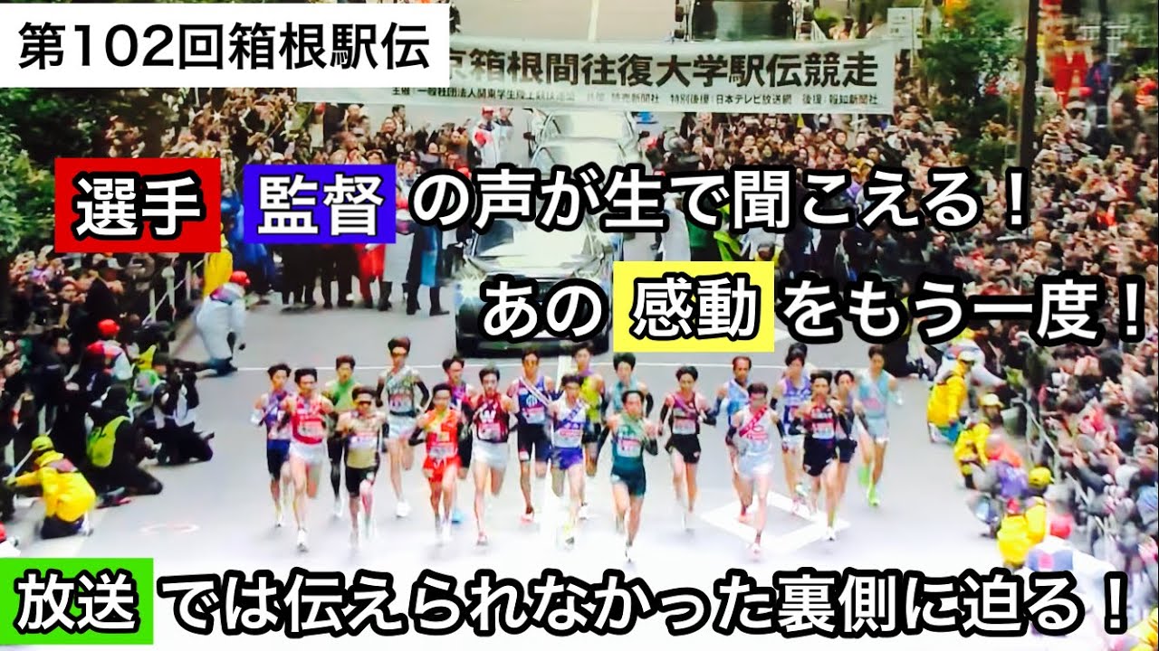 【箱根駅伝2026】箱根駅伝のレースはもちろん・裏側もお伝えします🎤選手・監督の生の声をお聞き下さい#陸上#駅伝#箱根駅伝
