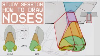 How To Draw Noses - Anatomy For Artists (Study Session)