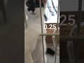 Lv.0.25 ばってんパンチ！