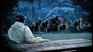 Bigfoot Sightings In Britain Part 1