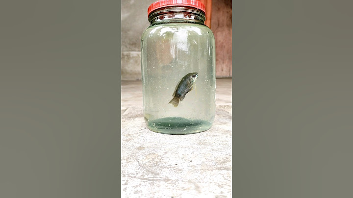 মাছের গোপন কথা বলে দিলাম 😐❌ #vlog #minivlog #shorts #fish #youtube