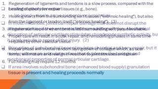 Repair Your Soft Tissues Injury, Best Chiropractor for injury treatment, Tampa screenshot 5