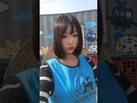<strong>안성</strong> 유기견봉사  #강엄마#행복보금자리