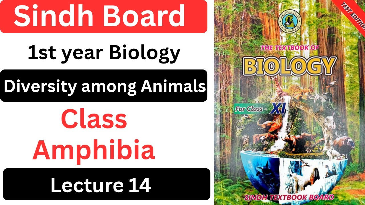 Class Amphibia||Diversity Among Animals||Class 11 Biology Sindh Board Book new 