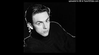 Stephen Duffy - Hold It