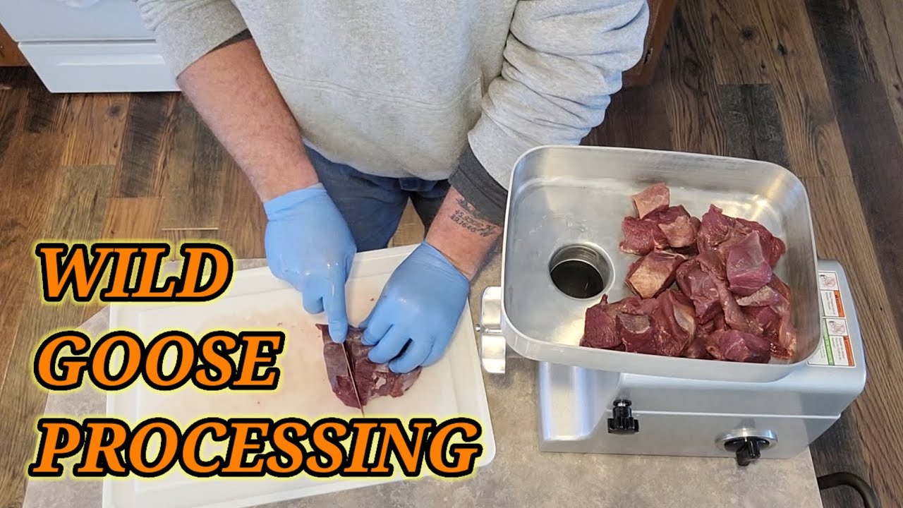Переработка мяса дикого гуся!