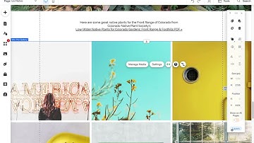 Wix Responsive Images: Full Width Images in Wix