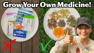 Download lagu Every Herb You Need In Your Garden To Heal Holistically