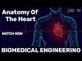 Anatomy of  the heart  biomedical engineering  sciwi