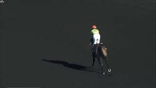 R4 Presque Isle Downs