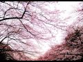 Plastic Tree - 春咲センチメンタル
