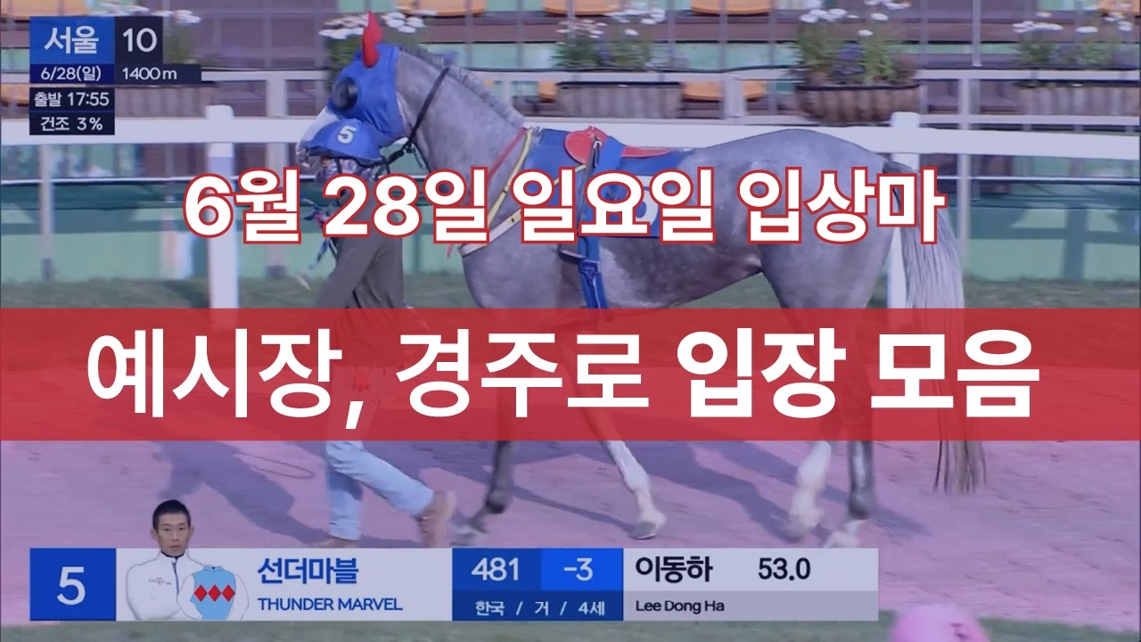 [6월 28일 일요일 입상마] 예시장, 경주로 입장 모음