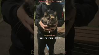 TOP-8 Cat Antics That Crack You Up 😂😂😂