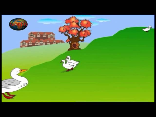 Five Little Ducks |  Nursery Rhyme | Animation Rhymes