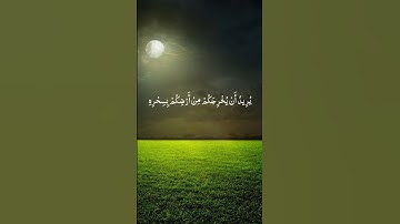 تلاوة خاشعة تريح القلب والاعصاب بصوت القارئ عبدالله الموسى| قَالَ أَوَلَوْ جِئْتُكَ بِشَيْءٍ مُبِينٍ