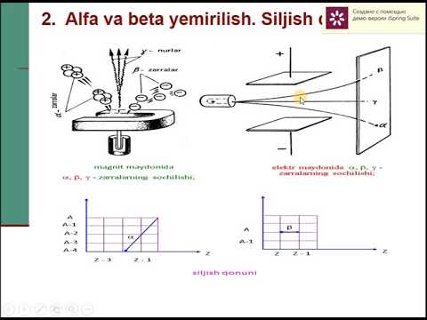 Video: Vismutning zaryadi nima?