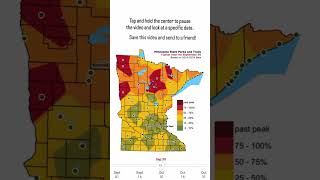 Wondering when’s the best time to see fall colors in Minnesota? Tap in the middle to pause the video