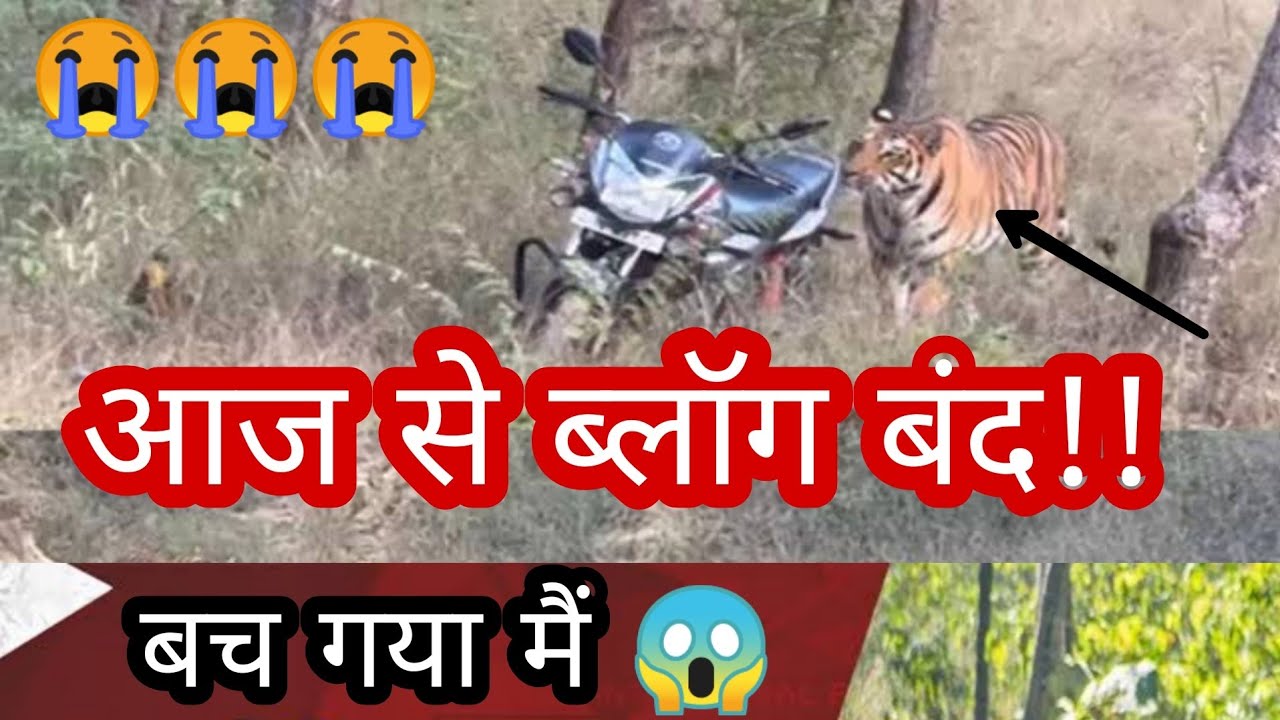 M M Terai Village In West Bengal M M Terai Picnic Spot Balason m-m-terai-village-in-west-bengal-m-m-terai-picnic-spot-balason