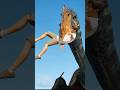 【復活の大地】ケツァルコアトルスが人間を丸のみ！/[Rebirth] Quetzalcoatlus swallows a human whole! #jwe3