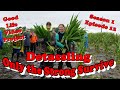 Why detassling is such an important part of The Good Life?- Season 1 Episode 12