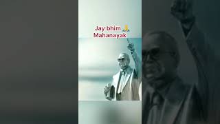 Jay bhim 🙏#viral #youtubeshorts #shortsviral #respect #attitude #trending #bhimarmy #1million screenshot 3