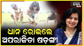 ଭୁବନେଶ୍ୱର ସାଂସଦ ଅପରାଜିତା ଷଡ଼ଙ୍ଗୀ ବେଗୁନିଆରୁ ଫେରିବା ବେଳେ ଚାଷୀଙ୍କ ସହ ମିଶି କାଦୁଅ ଜମିରେ ଧାନ ରୋଇଲେ screenshot 4