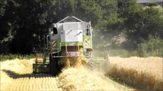 Moisson d'Orge 2015