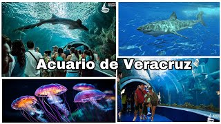 Acuario de Veracruz 2024/ Recorrido 🌊