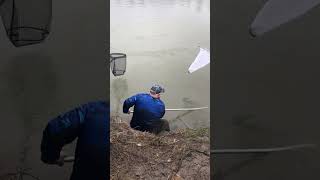 Smelt dipping on the cowlitz river last year.