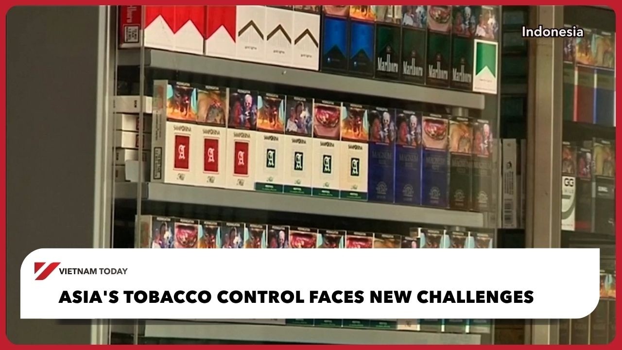 tobacco farms Tobacco Farming