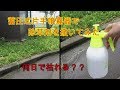 蓄圧式片手噴霧器で除草剤を撒く！