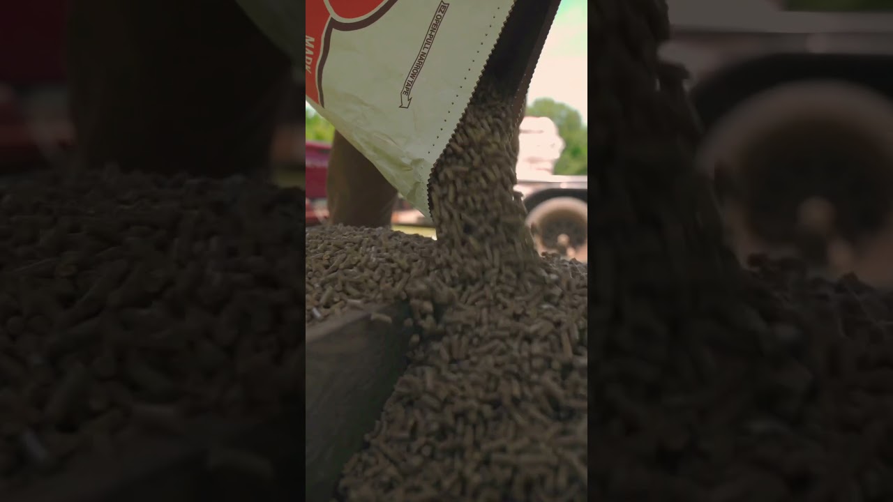 What are you feeding your deer?  