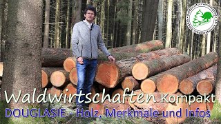 Waldwirtschaften Kompakt - DOUGLASIE - Holz, Merkmale und Infos