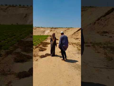 أنصحك نصيحة ما تخش تسمع الفيديو كلام العارفين بابا المجال