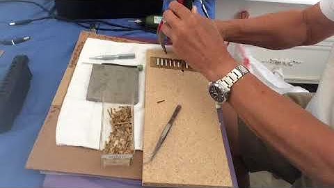 Replacing a Reed of a Chromatic Harmonica