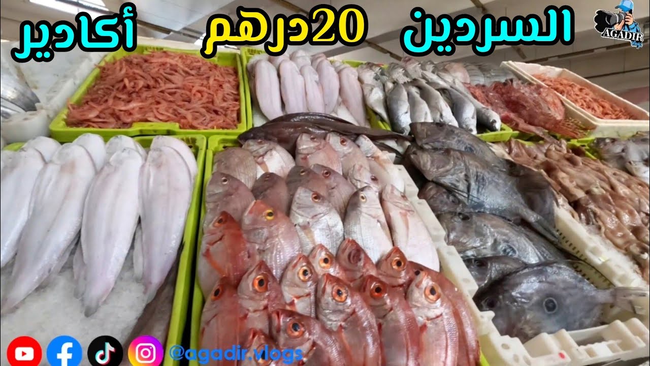 ​صادم! أسعار السمك في أكادير أول أيام رمضان 🐟 السردين بـ 20 درهم؟ جولة في سوق السمك المسيرة 