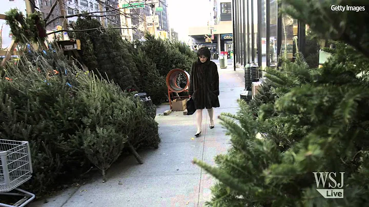 7 Tips to Pick & Keep the Perfect Christmas Tree